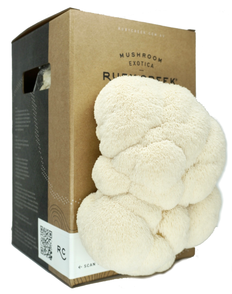 Lion’s Mane Mushroom Grow Kit Ruby Creek Mushrooms