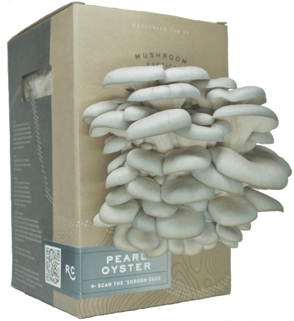 Pearl Oyster Mushroom Grow Kit Ruby Creek Mushrooms